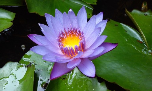 夏天流汗怎么才能减少汗臭味-夏天如何减少出汗网 :分享夏天怎样才能少出点汗-夏天如何减少出汗的方法知识